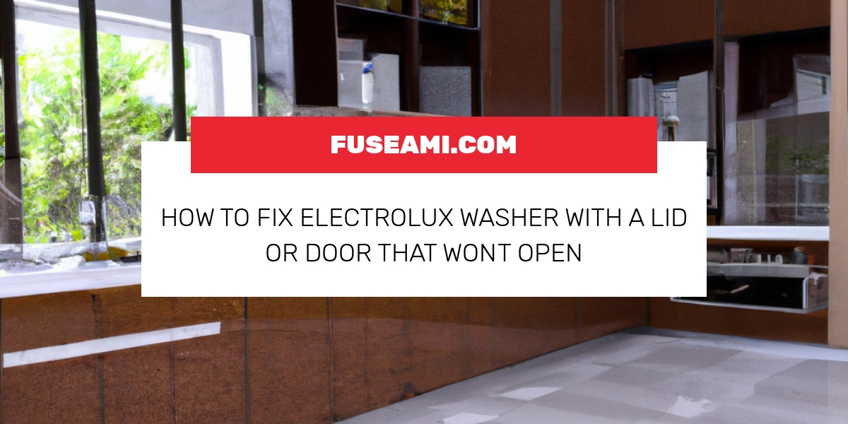 How To Fix Electrolux Washer With A Lid Or Door That Wont Open